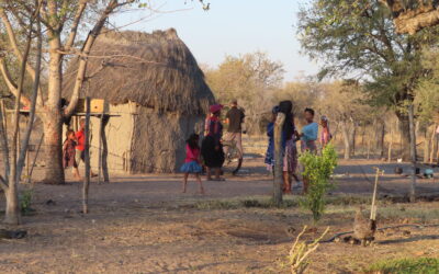 Mărturii din Kalahari – Kalahari și Botswana